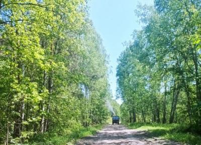 Обработку рязанских лесов от непарного шелкопряда планируют завершить в июне